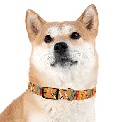 Collar Dog