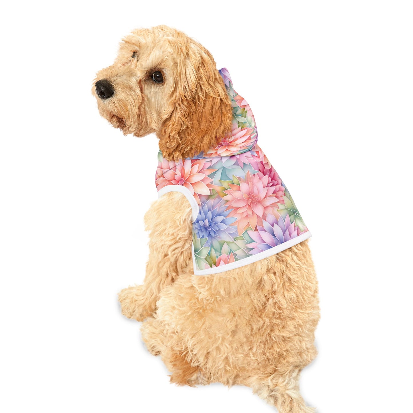 Rainbow Pet Hoodie with Dahlia Design