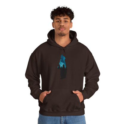 Bear Night Sky Hoodie Sweatshirt