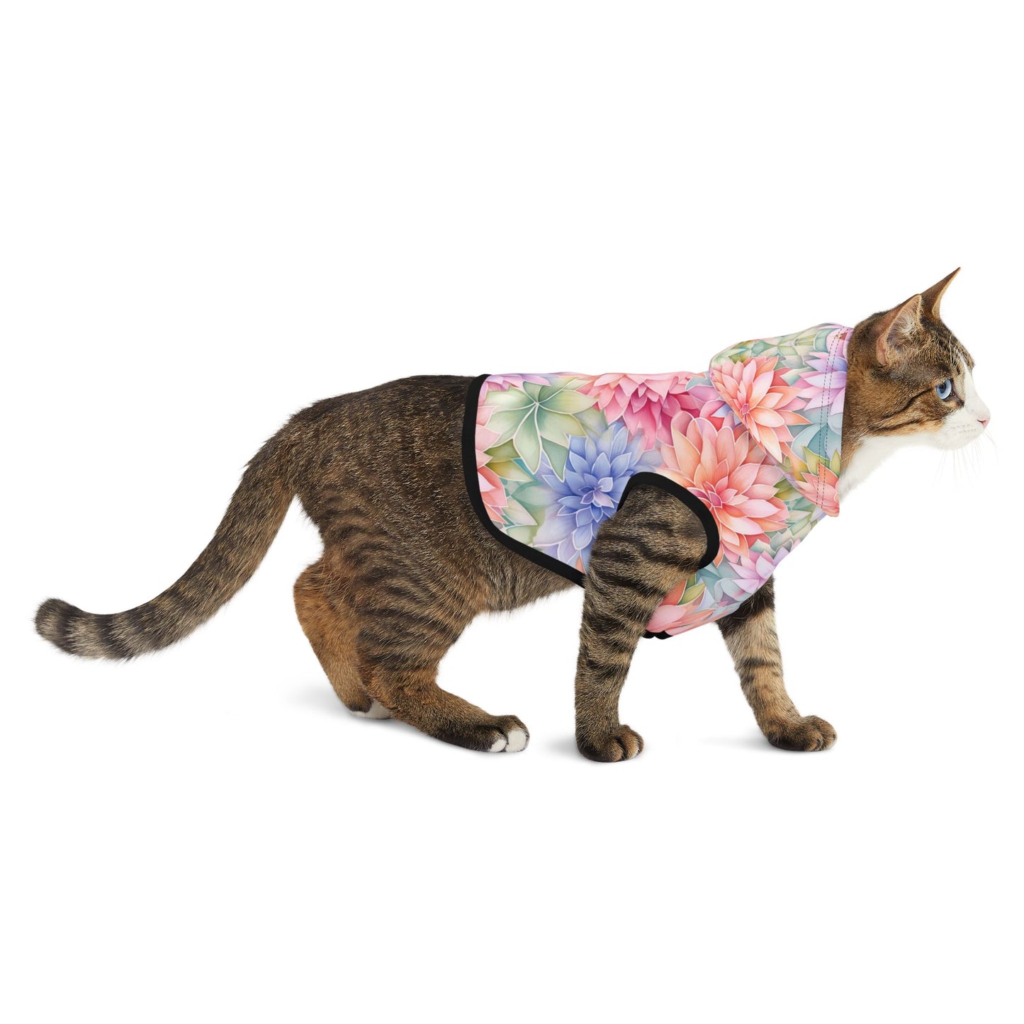 Rainbow Pet Hoodie with Dahlia Design