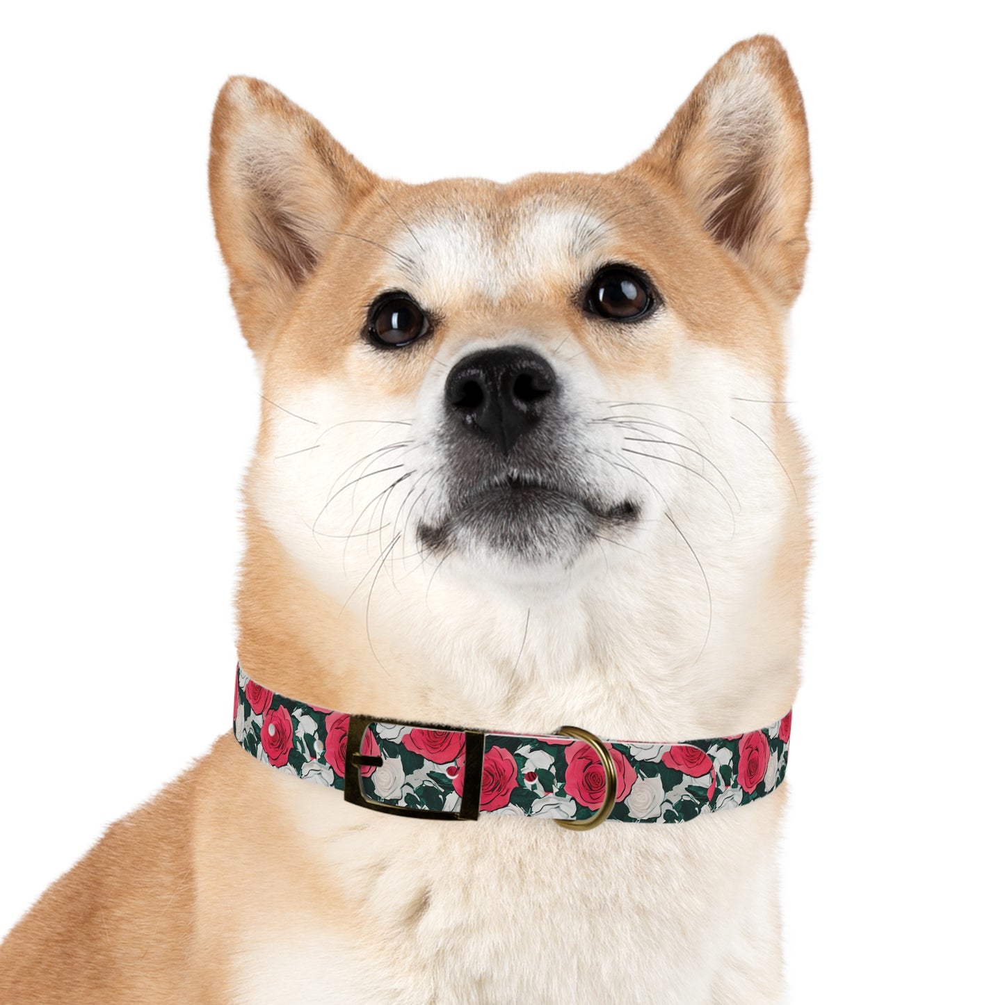 Dog Collar Red Rose Garden Design