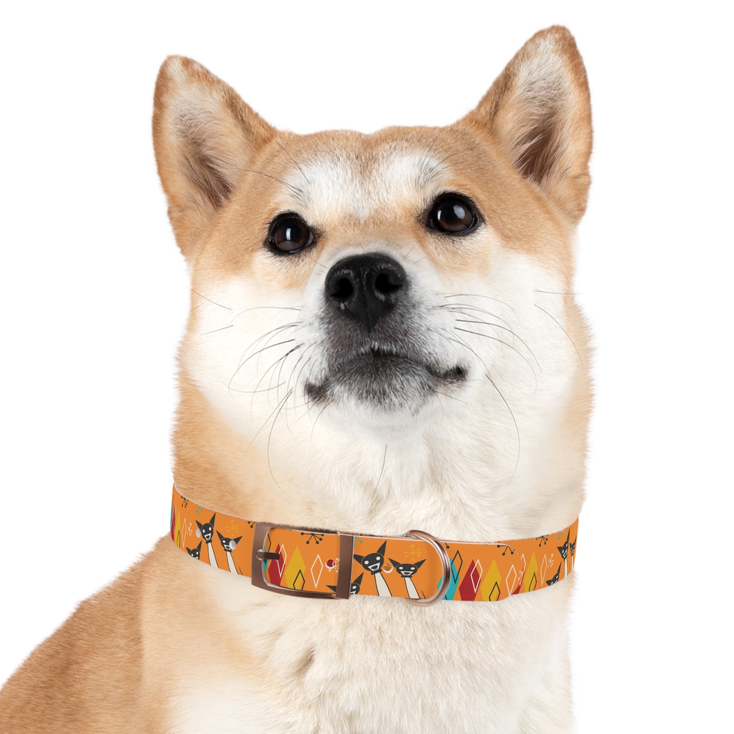 Collar Dog