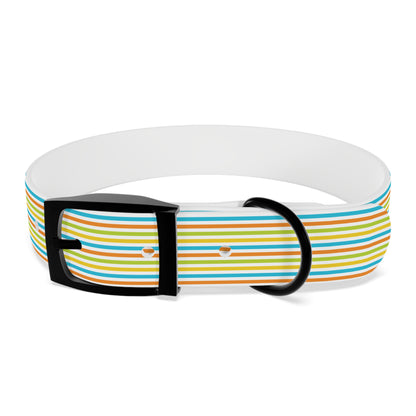 Dog Collar - Rainbow Stripe Happy Pet Accessory