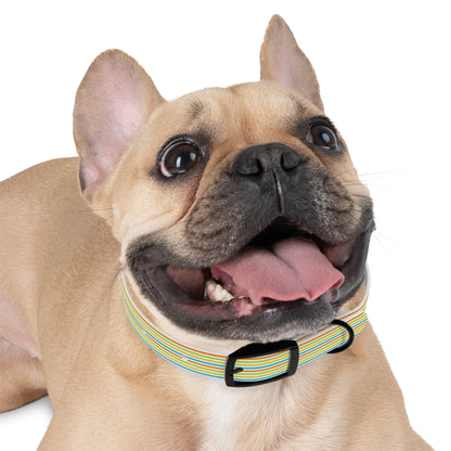 Dog Collar - Rainbow Stripe Happy Pet Accessory