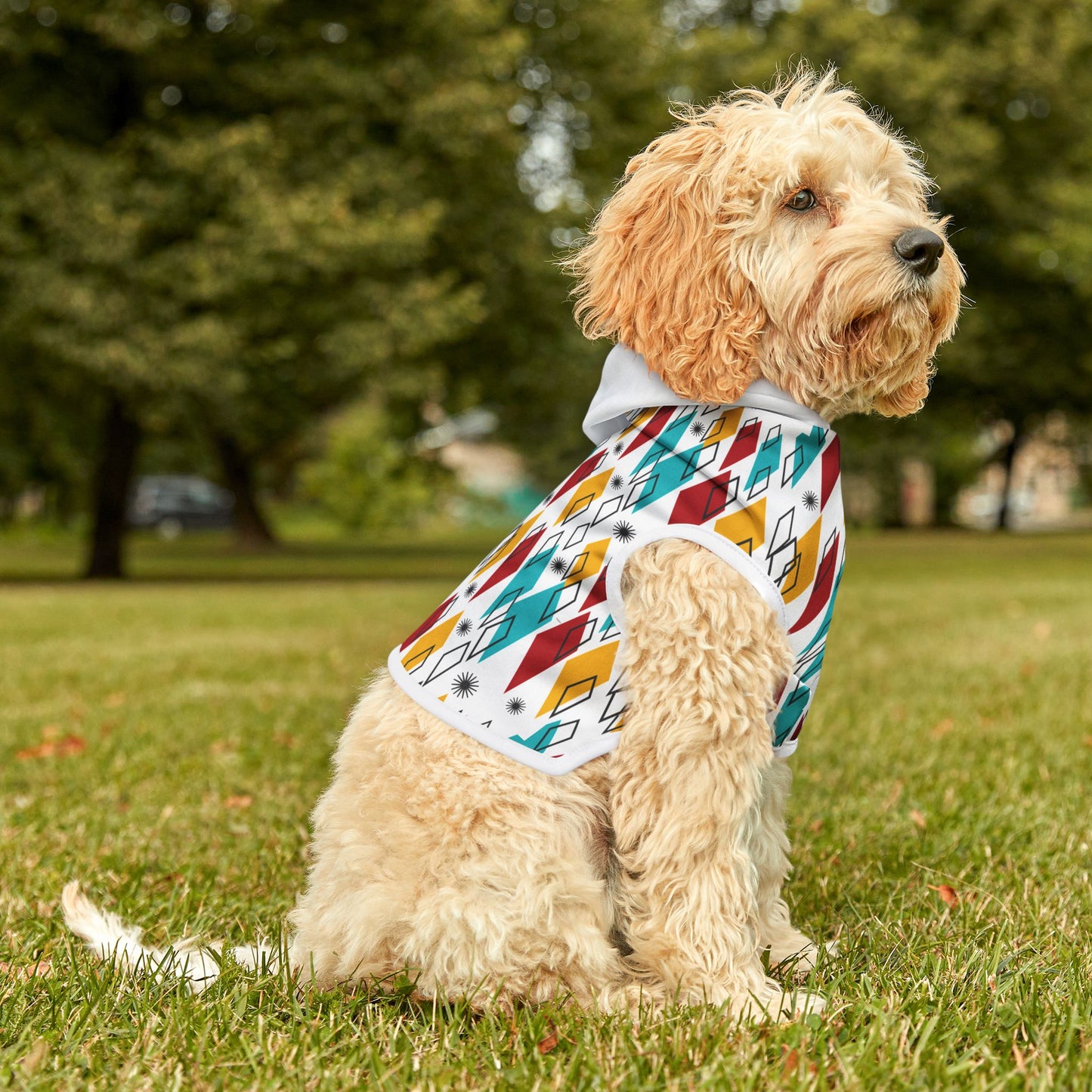 Atomic Pet Hoodie - 60’s Retro Design