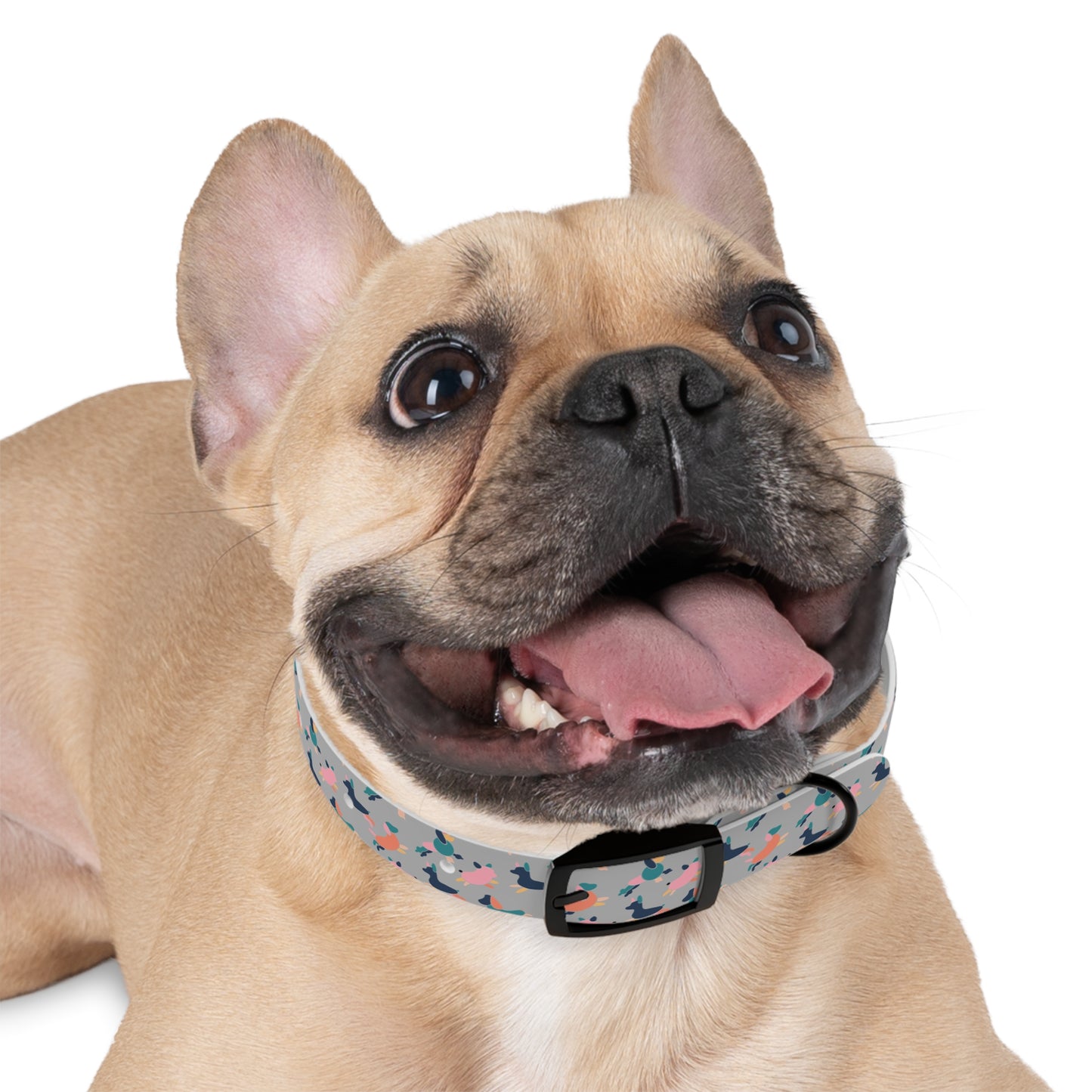 Dog Collar - Chic and Trendy Design for Stylish Dogs