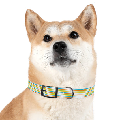 Dog Collar - Rainbow Stripe Happy Pet Accessory