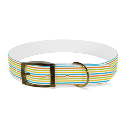 Dog Collar - Rainbow Stripe Happy Pet Accessory