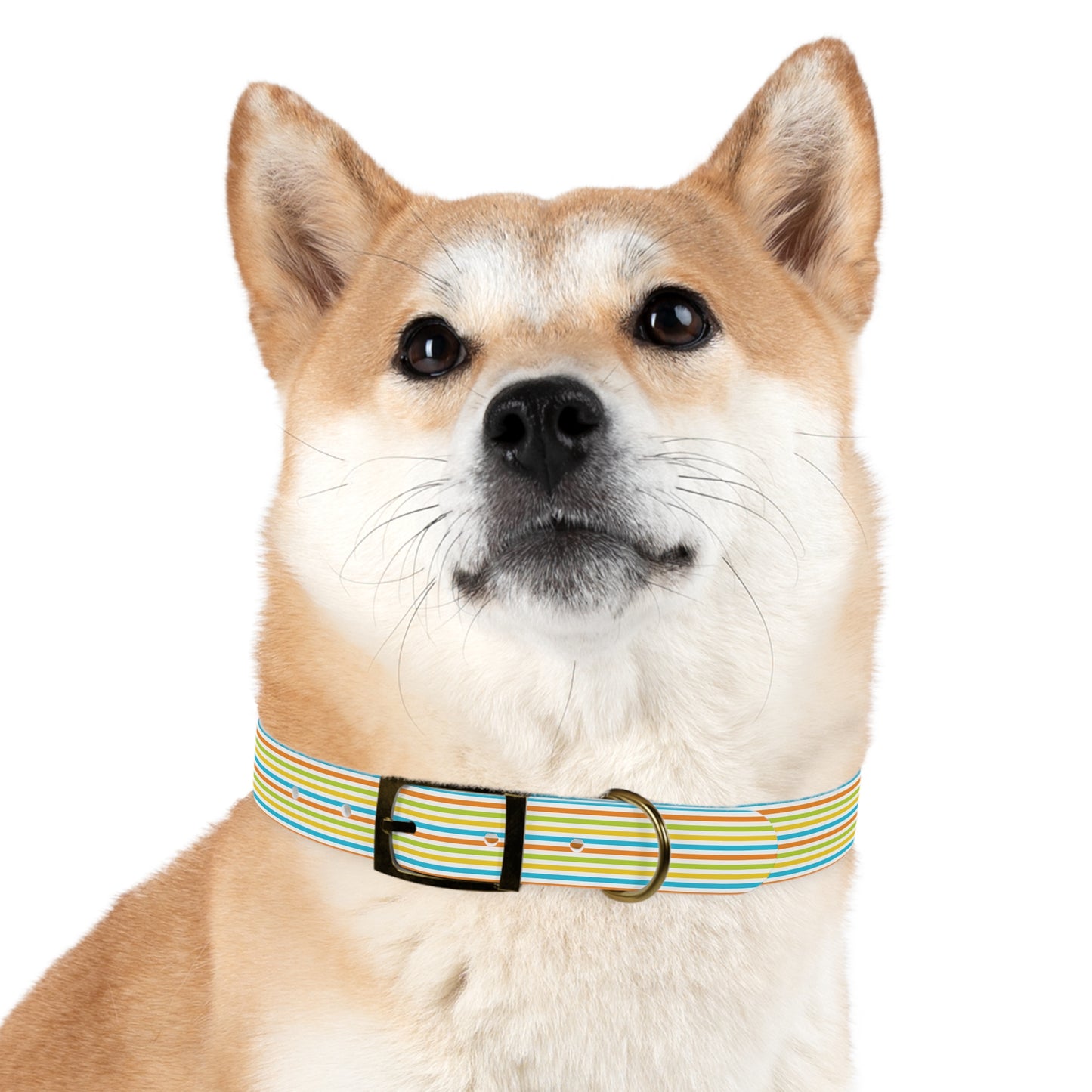 Dog Collar - Rainbow Stripe Happy Pet Accessory