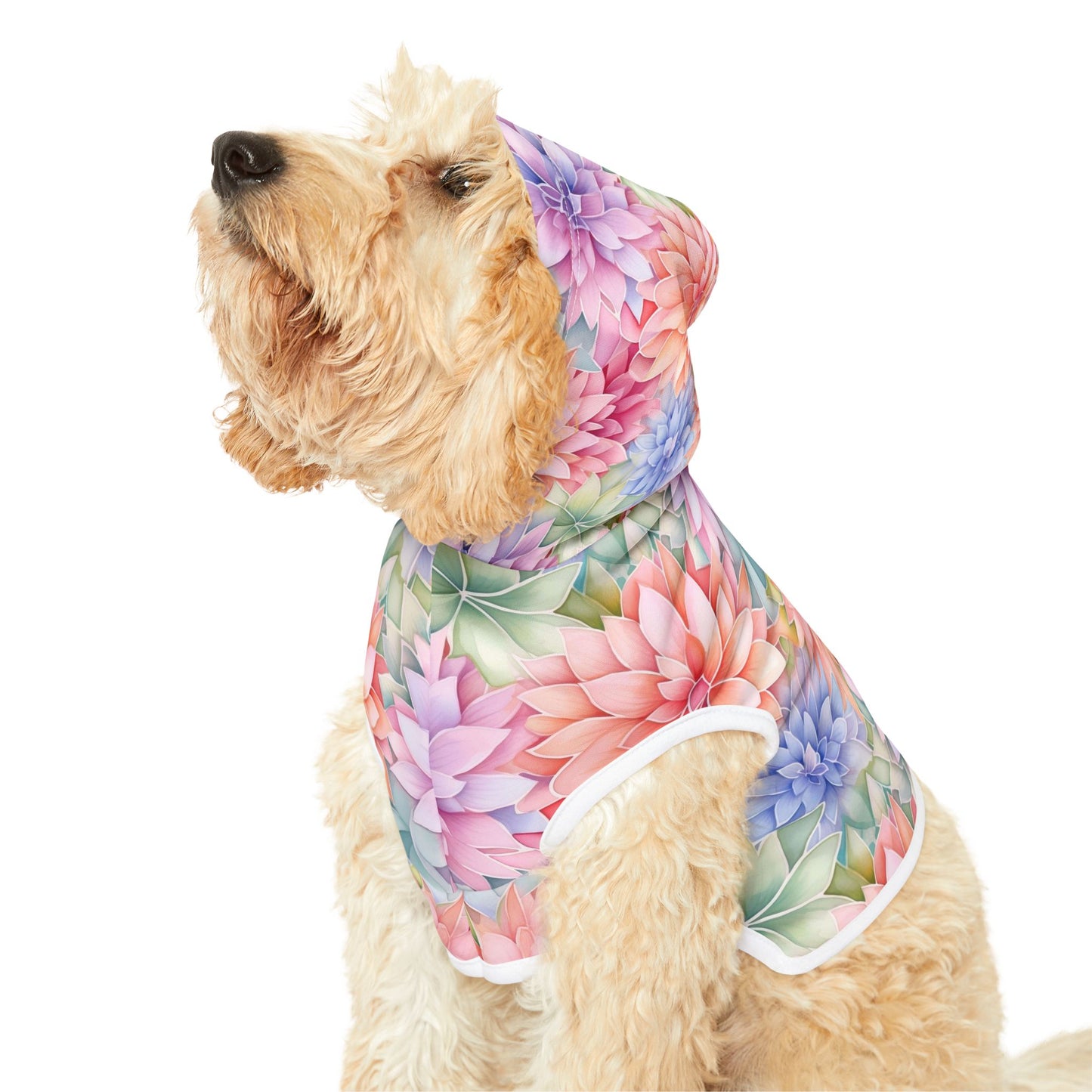 Rainbow Pet Hoodie with Dahlia Design