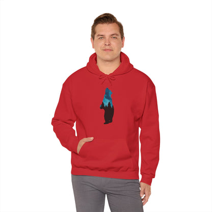 Bear Night Sky Hoodie Sweatshirt