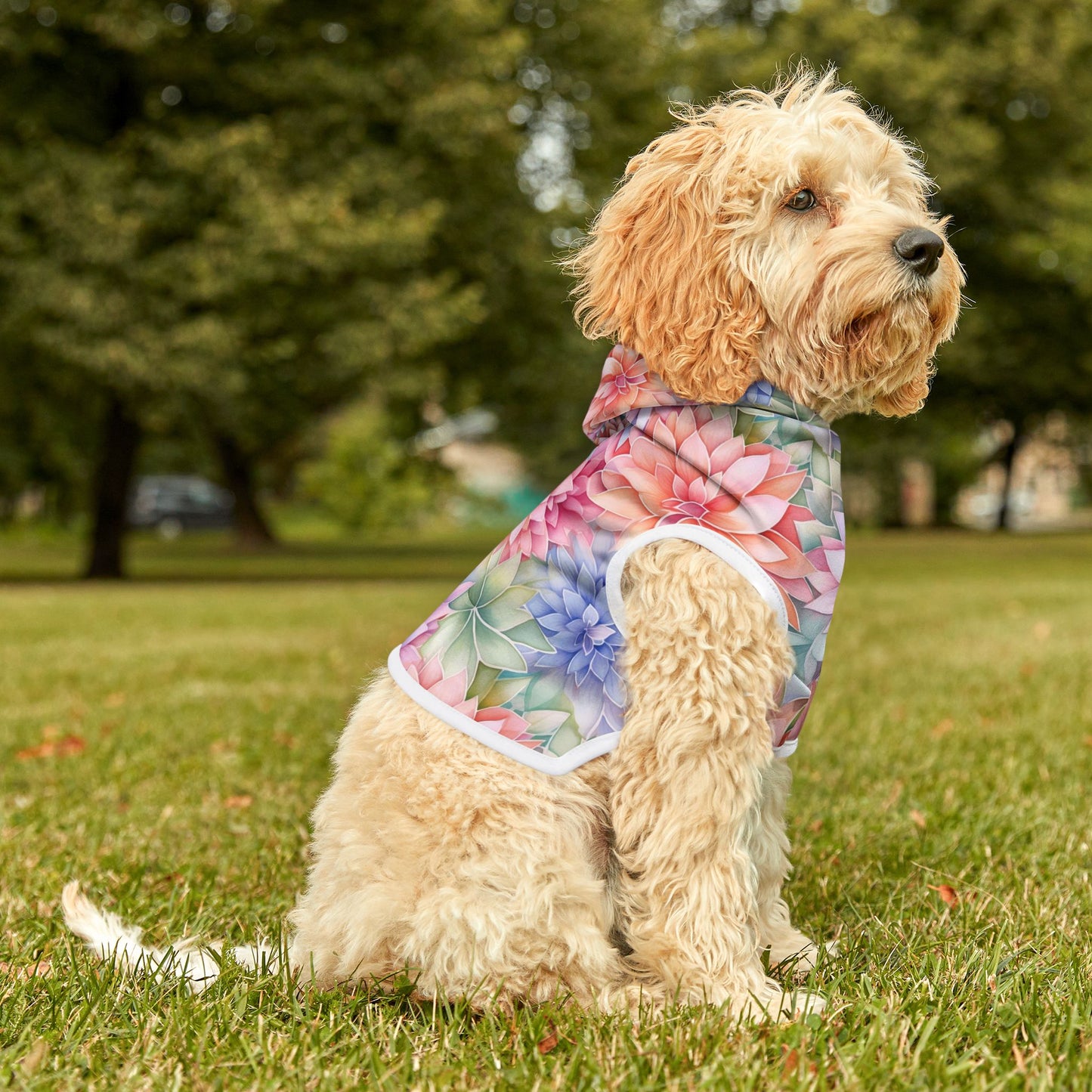 Rainbow Pet Hoodie with Dahlia Design