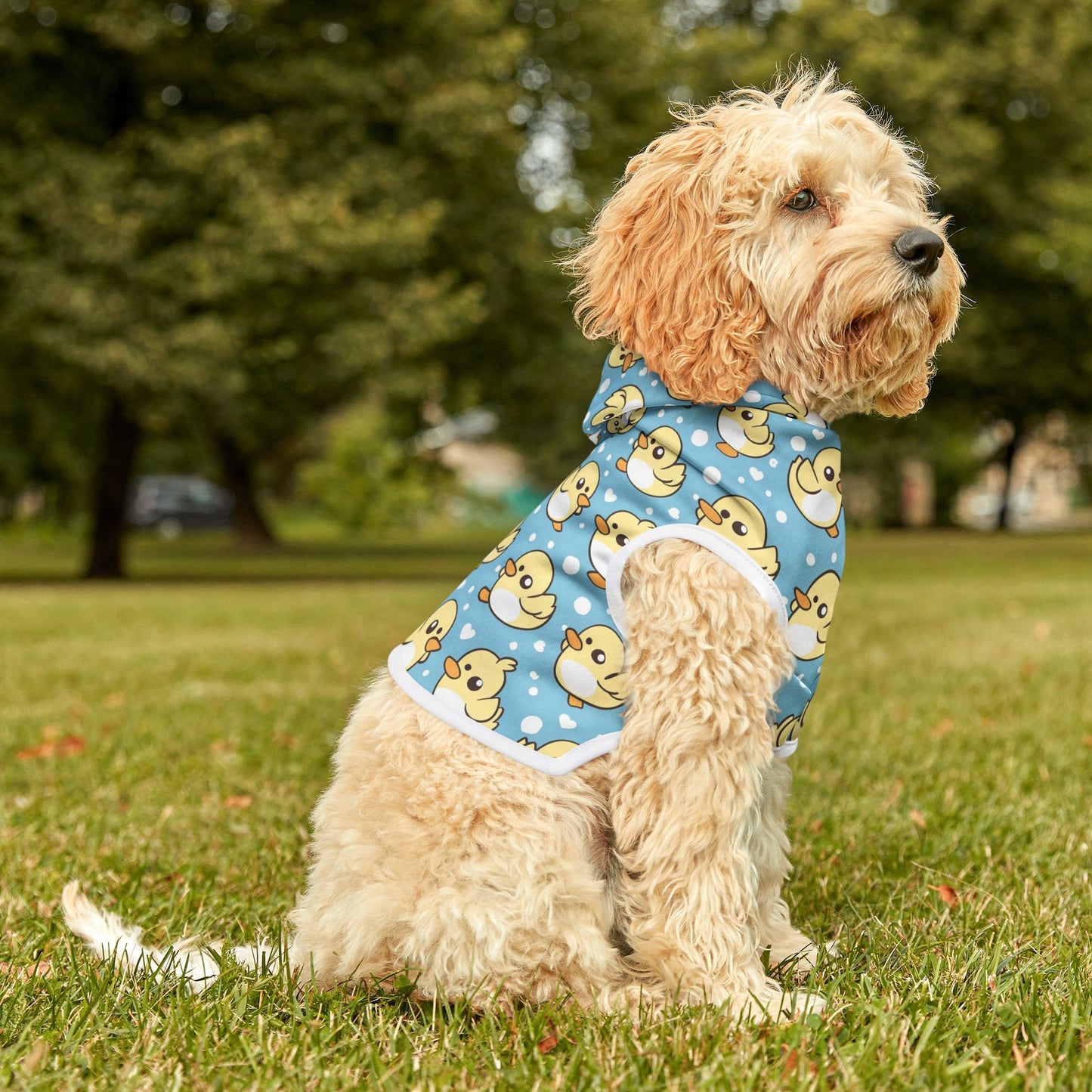 Pet Hoodie with Ducky Design