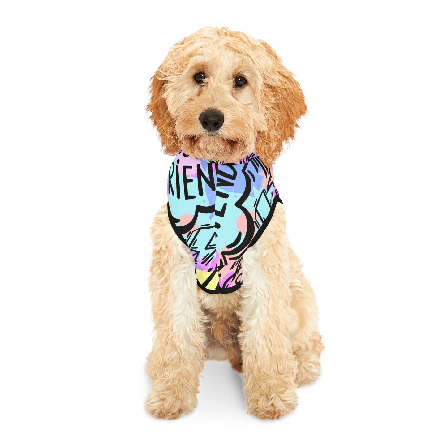 Graffiti Pet Hoodie in Bright Colors