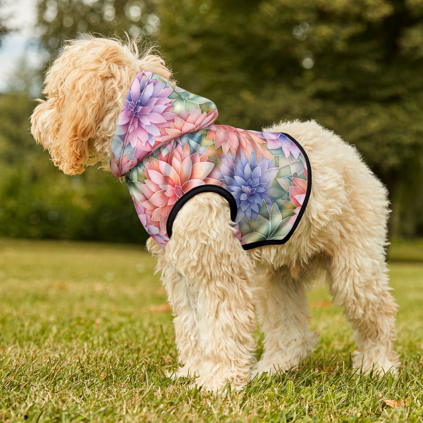 Rainbow Pet Hoodie with Dahlia Design