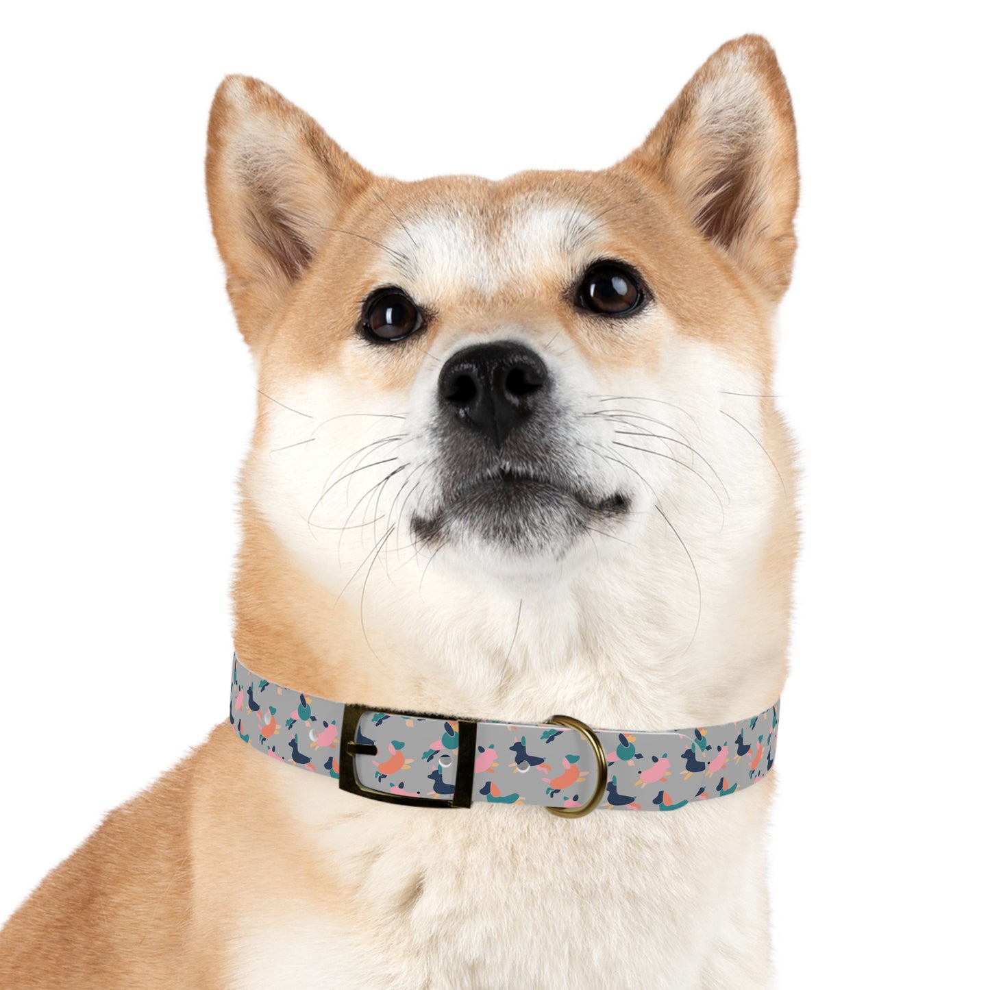 Dog Collar - Chic and Trendy Design for Stylish Dogs