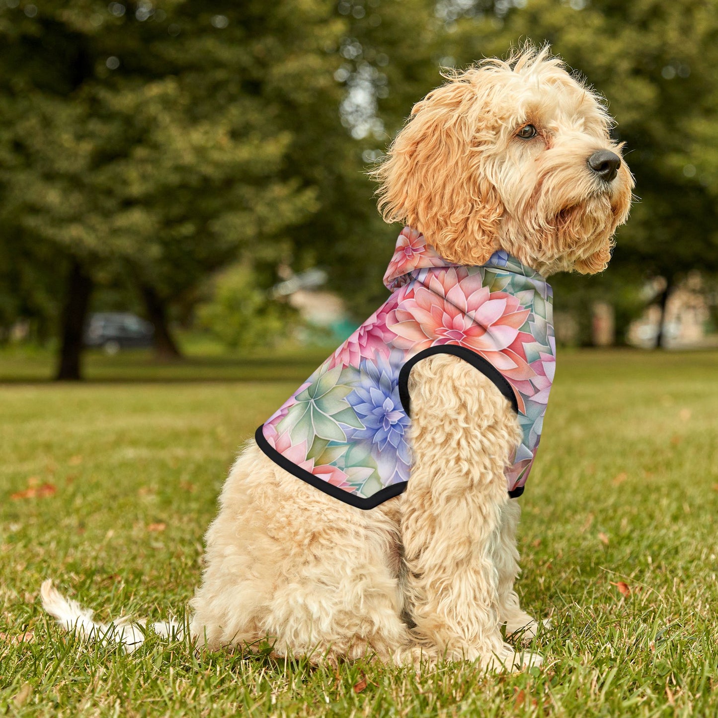 Rainbow Pet Hoodie with Dahlia Design