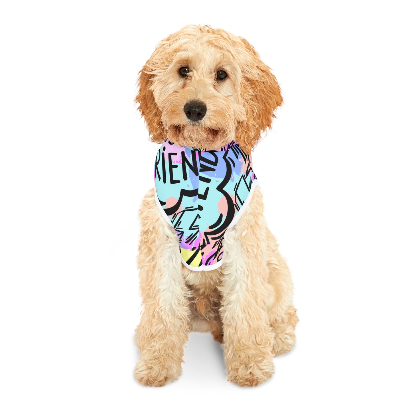 Graffiti Pet Hoodie in Bright Colors