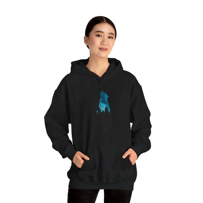 Bear Night Sky Hoodie Sweatshirt