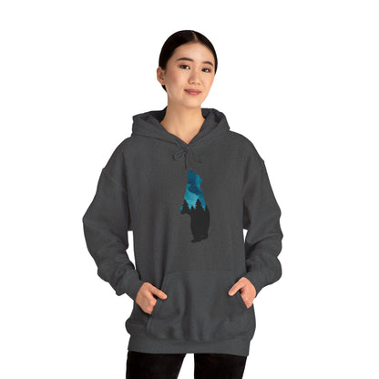 Bear Night Sky Hoodie Sweatshirt