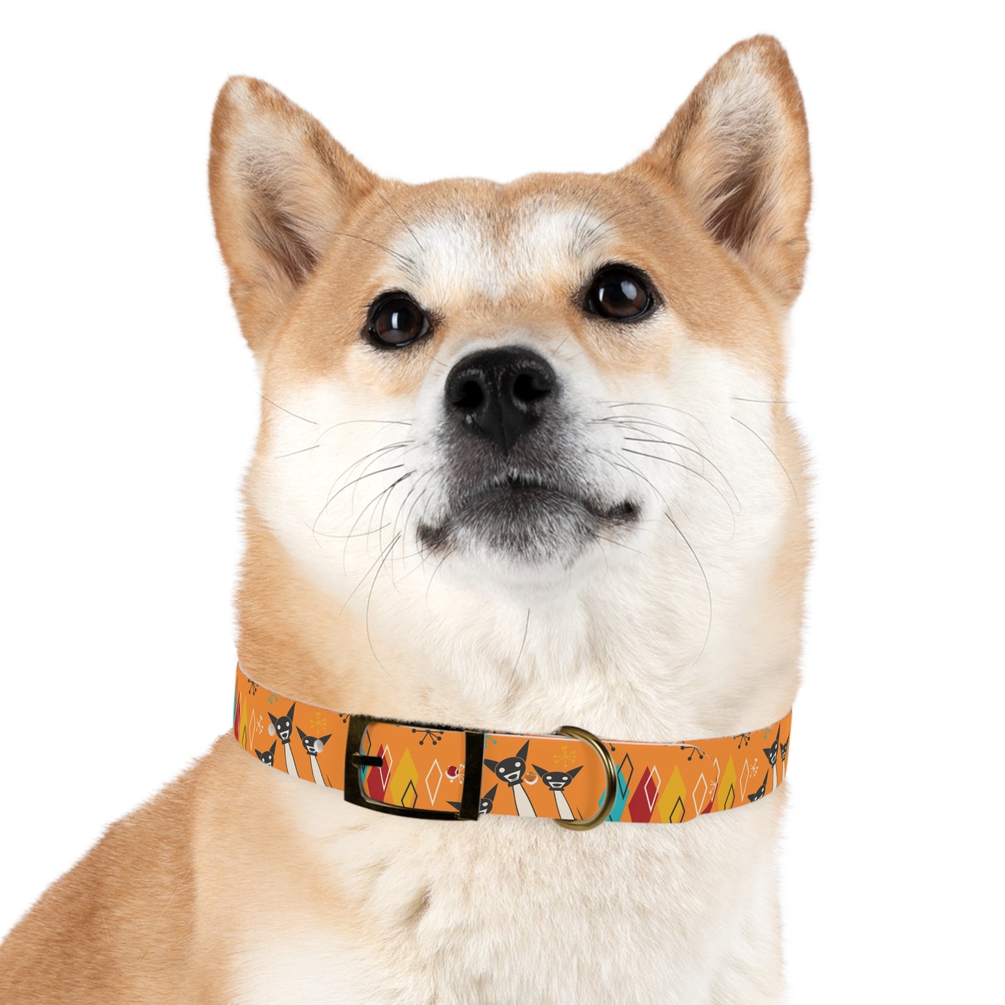 Collar Dog