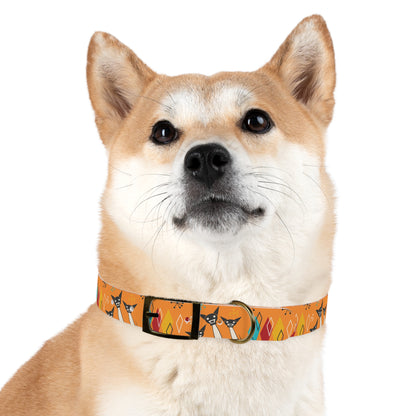 Collar Dog