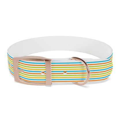 Dog Collar - Rainbow Stripe Happy Pet Accessory