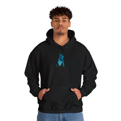 Bear Night Sky Hoodie Sweatshirt